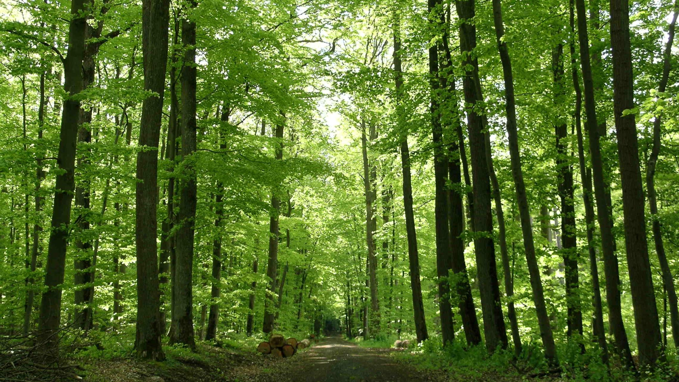 Exerzitien im Alltag Fastenzeit 2026