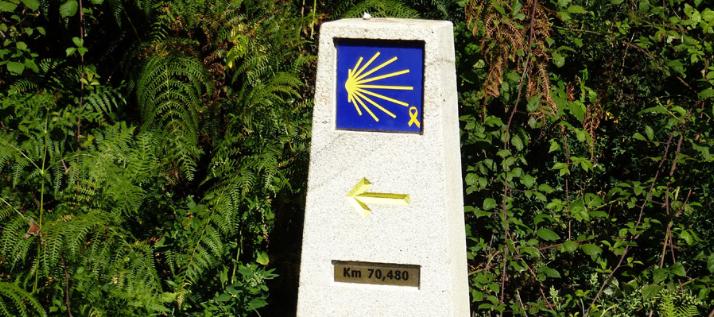 Erwachsene
